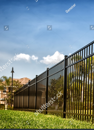 imageedit_3_2341199410